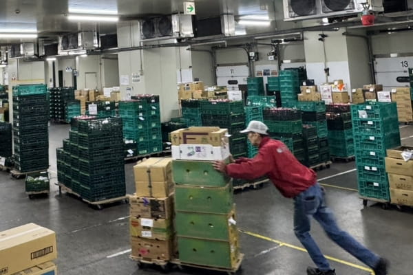 湘南物流 大田青果センター 商品管理